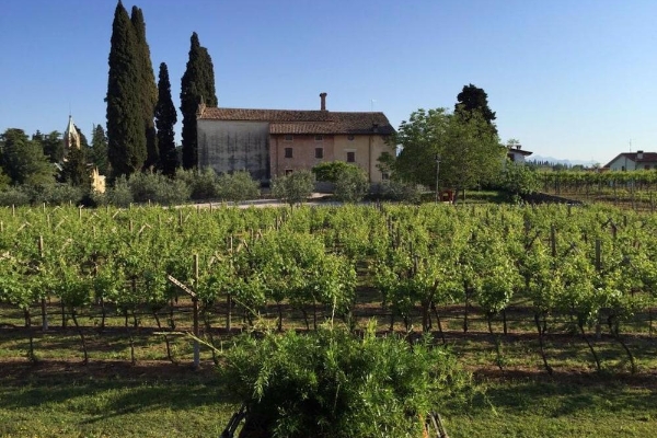 Hotel Villa dei Cedri Thermal Park & Natural Spa (Lazise)